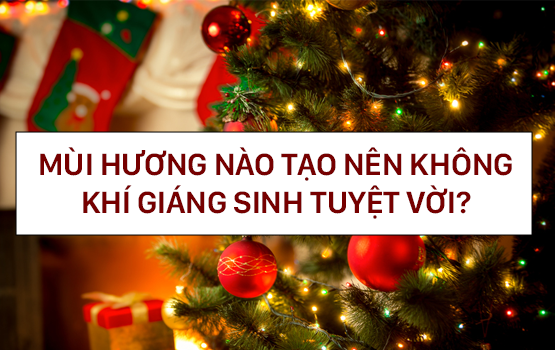 Mùi hương nào tạo nên không khí Giáng Sinh tuyệt vời?