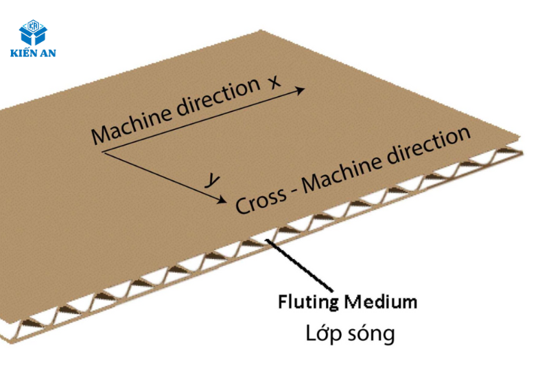 Sóng giấy thùng Carton là gì? Phân loại và công dụng của từng loại sóng giấy thùng Carton chi tiết nhất