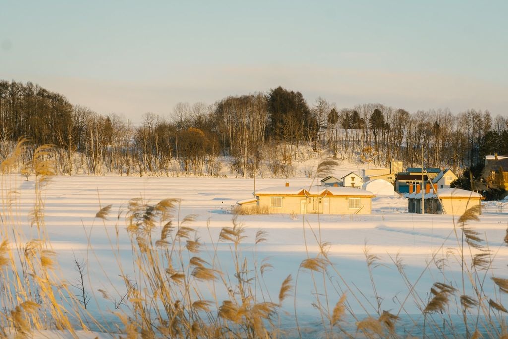 Mùa tuyết ở Hokkaido
