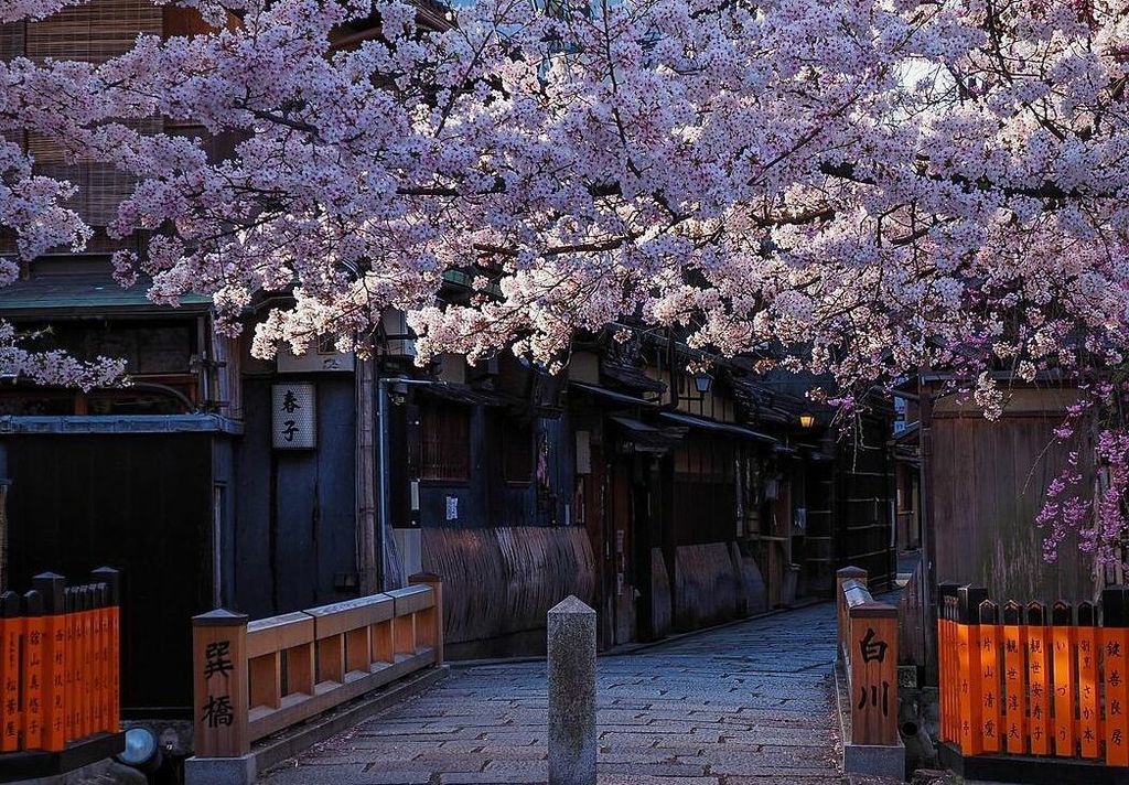 10 điểm ngắm hoa anh Đào tại Nhật Bản