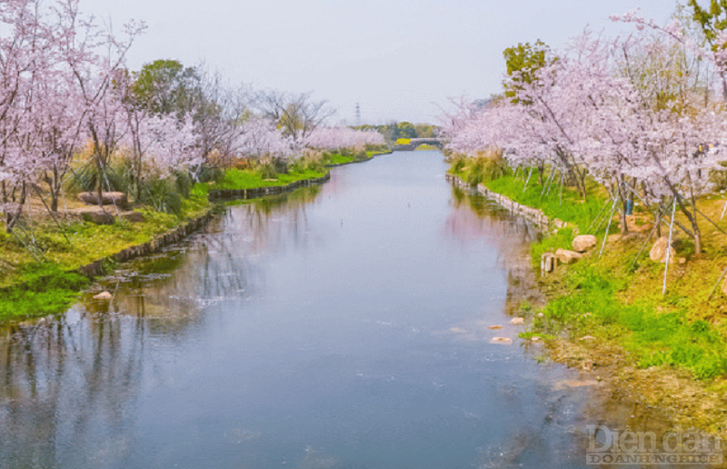 Trải nghiệm mùa xuân tại Giang Nam – Trung Quốc