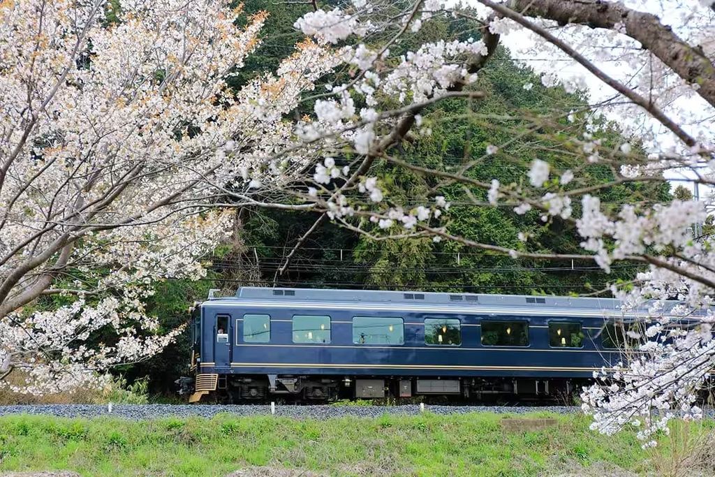 Chuyến đi ngắm cảnh bốn mùa Nhật Bản chất lượng cao dành cho người lớn trên Tàu cao tốc du lịch hạng sang