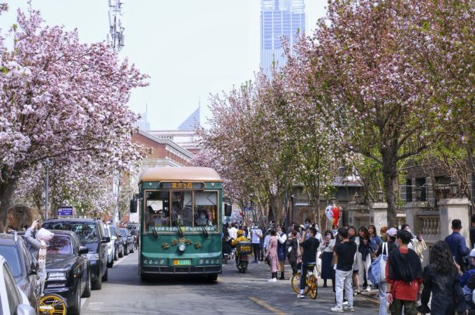 Mùa hoa hải đường cực hút khách ở thành phố Trung Quốc