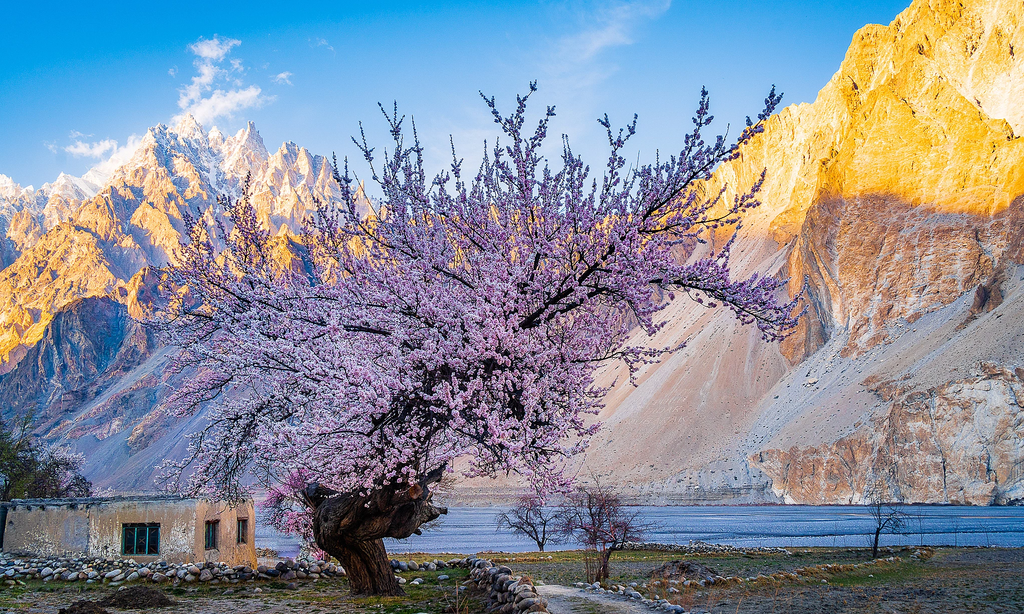 Lạc bước giữa mùa xuân Pakistan