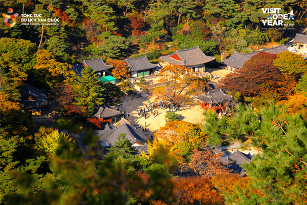 [MICE Tour] BỎ TÚI LỊCH TRÌNH 1 NGÀY KHÁM PHÁ INCHEON