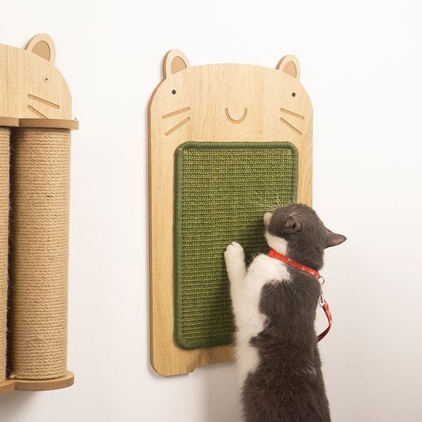 Thảm Cào Móng Cho Mèo