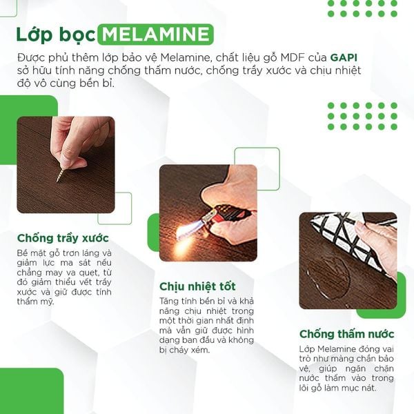 hồ sơ năng lực IGA