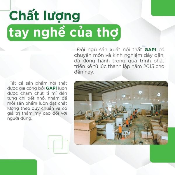 hồ sơ năng lực IGA