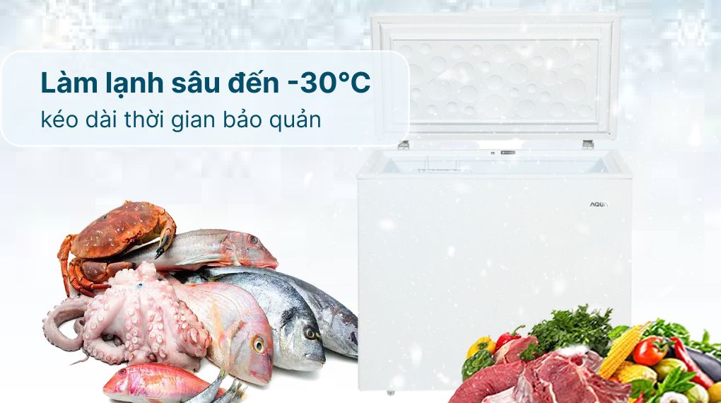 tủ đông aqua 301l