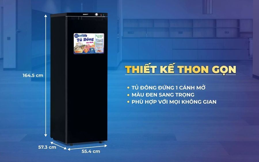 thiết kế tủ đông đứng sanaky 230l