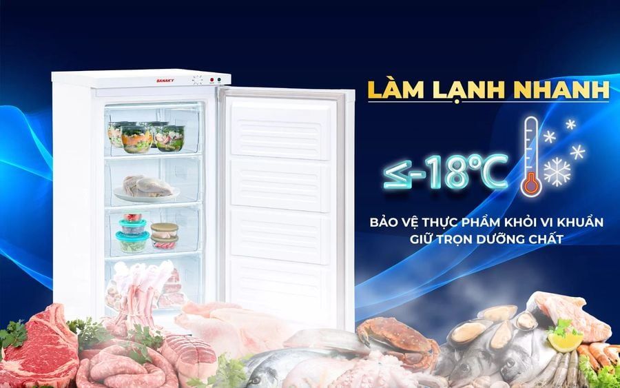 làm lạnh tủ đông đứng sanaky vd-160