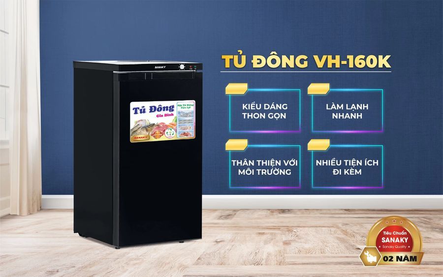 Tủ đông đứng Sanaky VH 160K