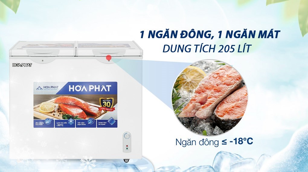 Tủ đông Hòa Phát 205 Lít HPF BD6205 chính hãng giá bán tại kho