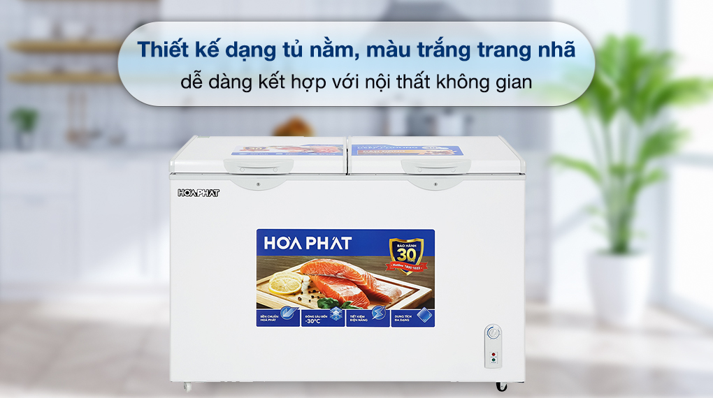 tủ đông hoà phát AD6352 màu trắng