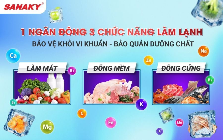 gas tủ đông mặt kính 560l