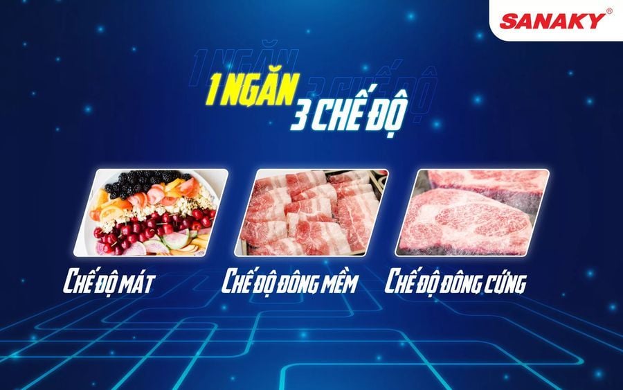 ngăn tủ đông mặt kính 5699hyk