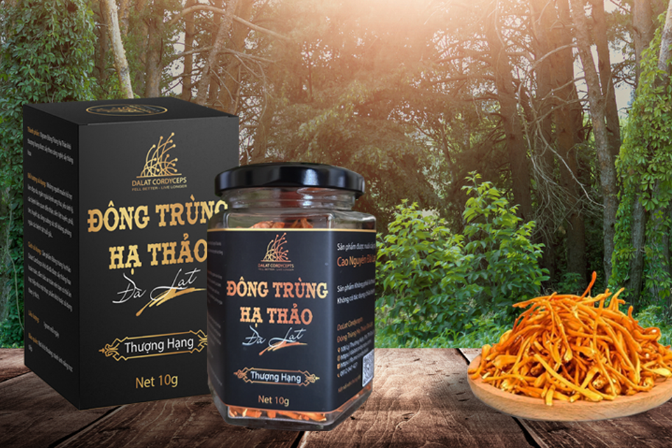 8 tác dụng của đông trùng hạ thảo