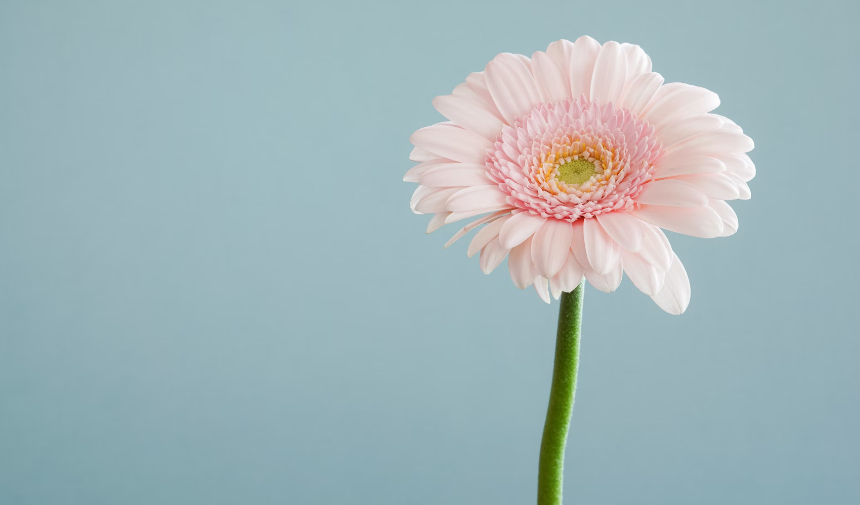 ĐIỀU VĨ ĐẠI NHẤT MÀ MỘT NGƯỜI CÓ THỂ LÀM ĐÓ CHÍNH LÀ YÊU THƯƠNG.
