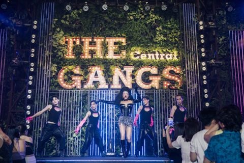 The Gangs – The Gangs