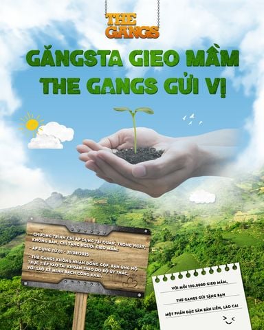 Gangsta plants a seed – The Gangs brings the taste