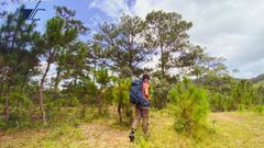 TOP 5 ĐỊA ĐIỂM TREKKING LÝ TƯỞNG Ở MIỀN NAM MÙA HÈ NÀY