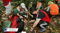 TEAM BUILDING NGẮN TRONG 4 TIẾNG – CÓ THẬT SỰ HIỆU QUẢ?