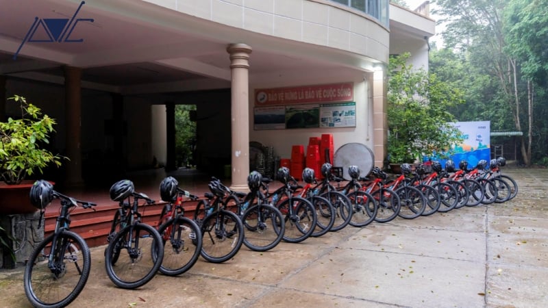 TỔ CHỨC NGÀY HỘI THỂ THAO HỌC SINH – CẦN CHUẨN BỊ NHỮNG GÌ?