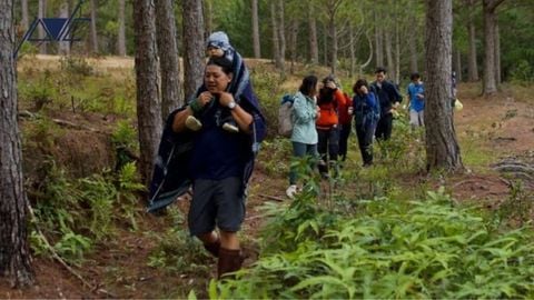TỔ CHỨC TREKKING CHO TRẺ EM VÀ GIA ĐÌNH: NHỮNG ĐIỀU CẦN LƯU Ý
