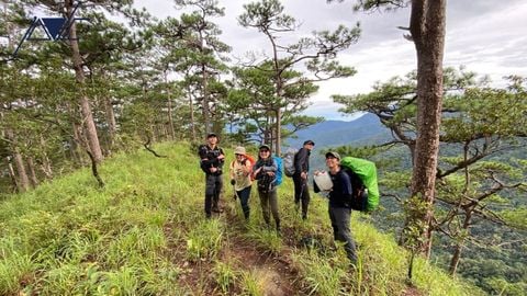 TOP ĐỊA ĐIỂM TỔ CHỨC TREKKING KẾT HỢP TEAM BUILDING GẦN TP.HCM CHO DOANH NGHIỆP