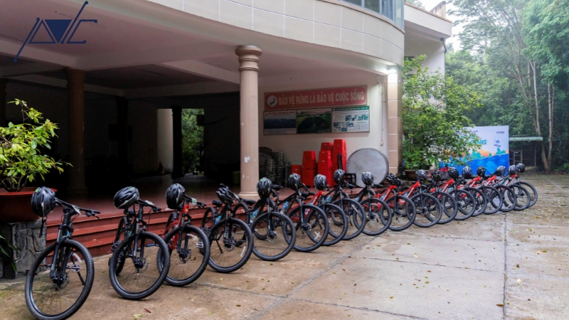 Tổ chức thi đấu thể thao ở trường học