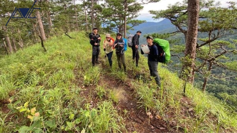 tổ chức chuyến trekking
