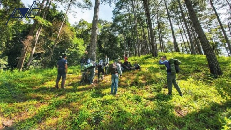 tổ chức chuyến trekking