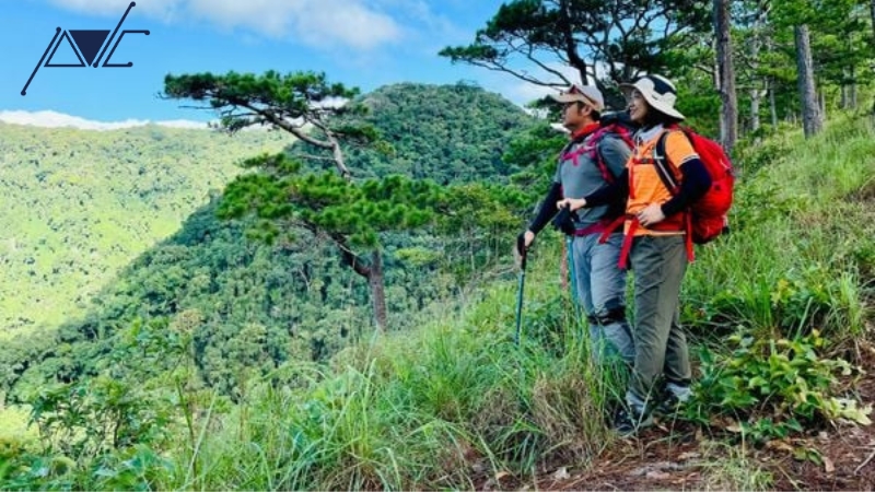 Dịch vụ tổ chức trekking trọn gói