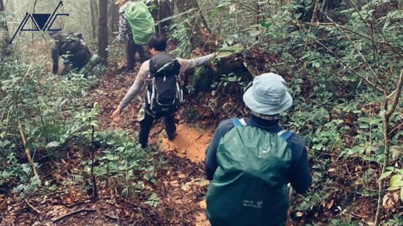 Dịch vụ tổ chức trekking trọn gói