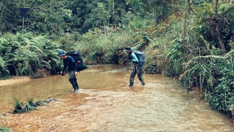 Dịch vụ tổ chức trekking trọn gói