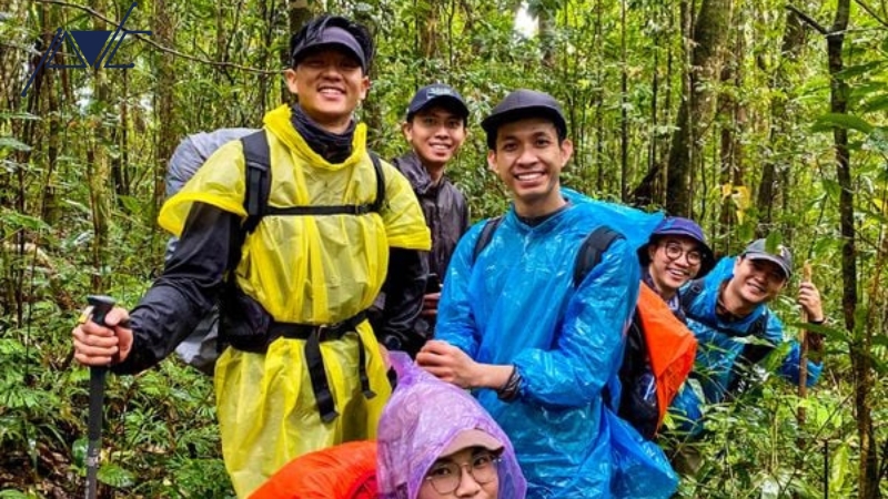 Tổ chức trekking cho trẻ em và gia đình