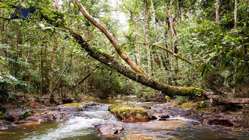 nên đi trekking Bidoup mùa nào