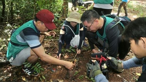 team building tropical trekking