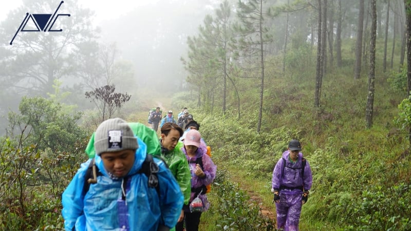 thiết kế team building