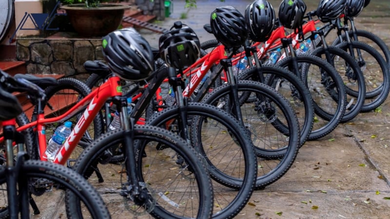 Tổ chức ngày hội thể thao học sinh