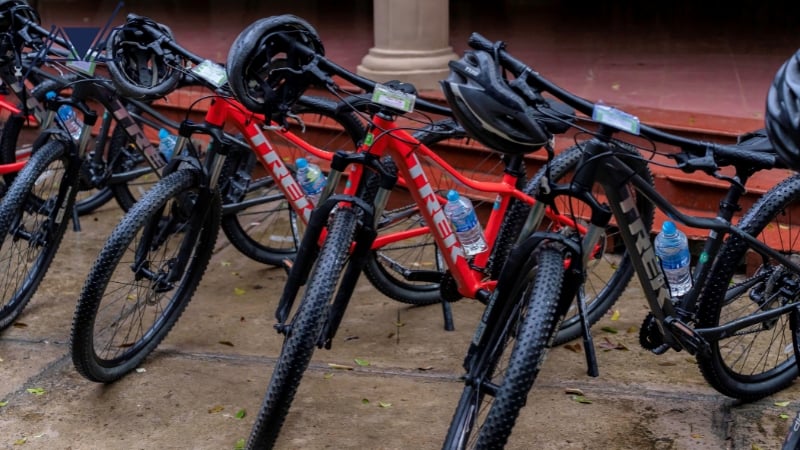 Tổ chức ngày hội thể thao học sinh