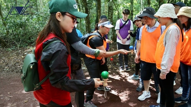 tổ chức team building