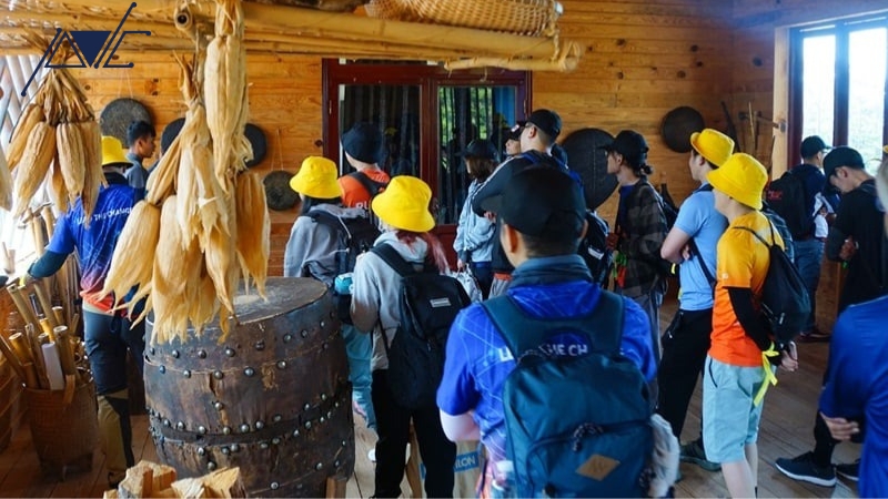 tổ chức team building