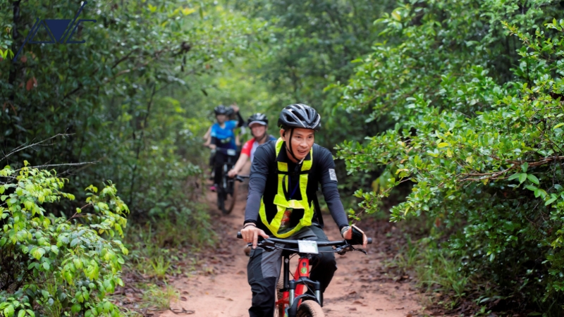 Tổ chức team building nội bộ