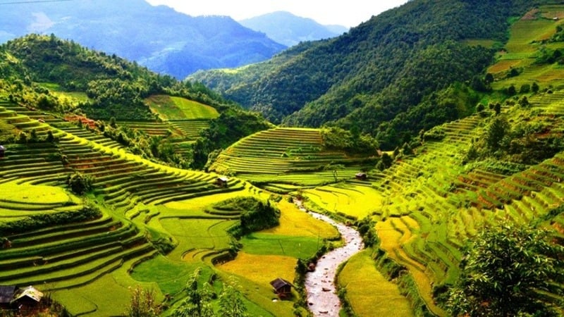 tổ chức trekking