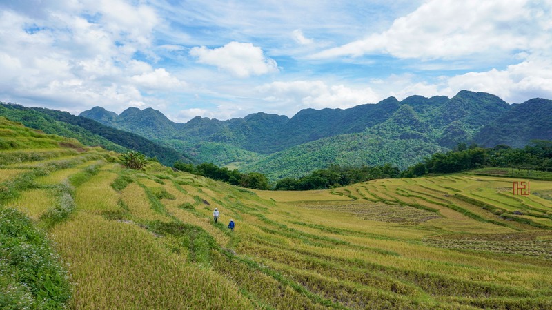 tổ chức trekking