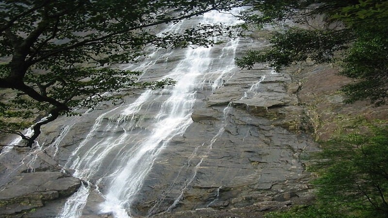 tổ chức trekking