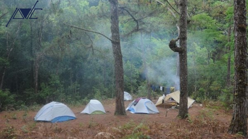 Tổ chức trekking đêm