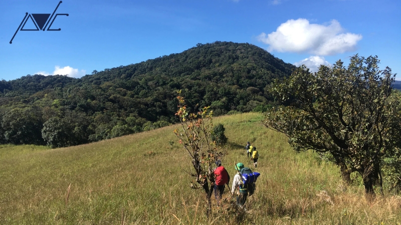 Tổ chức trekking tại núi Chứa Chan
