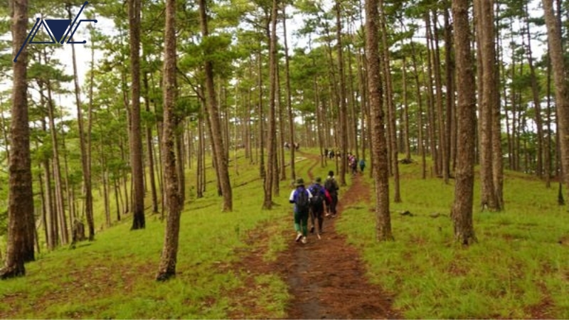 Tổ chức trekking tại núi Chứa Chan